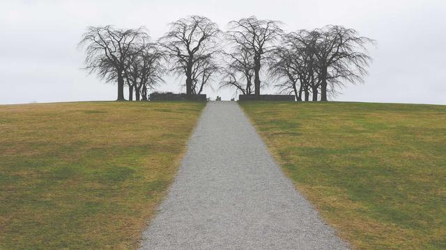 Hospedagem sites profissional em Claraval