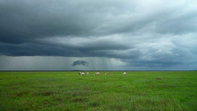Hospedagem sites profissional em Deod�polis