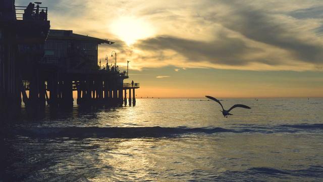 Hospedar site em Santa Rita do Sapuca�