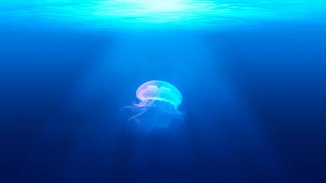 Hospedar site em Tabuleiro