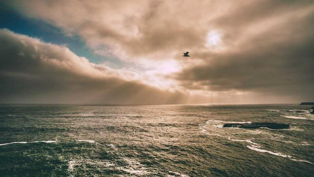 Inform�tica em Alta Floresta