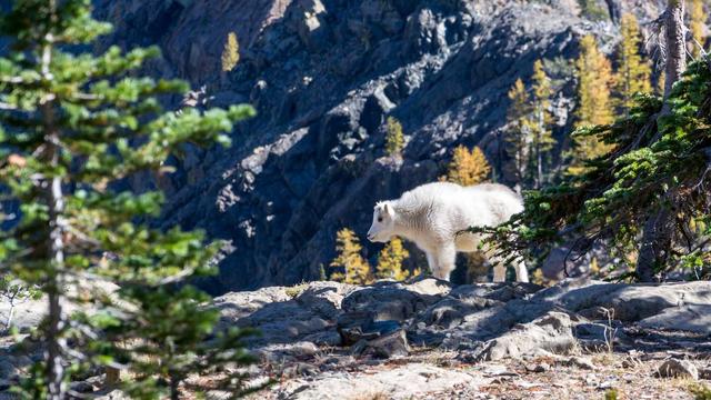 Inform�tica em Cambuquira