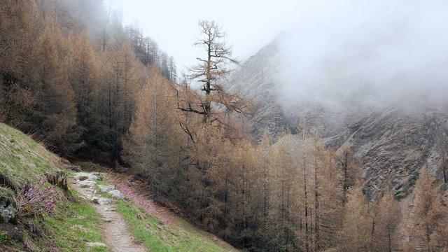 Inform�tica em Vit�ria do Xingu