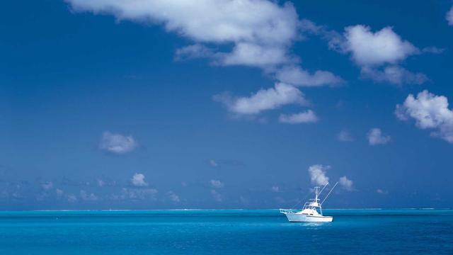 Loja virtual em Canarana