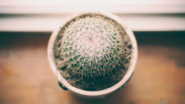 Loja virtual em Rio Real