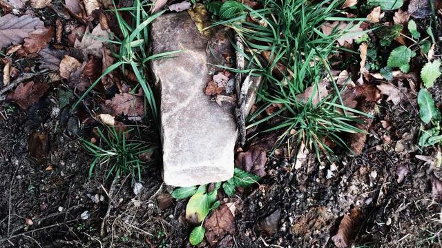 Loja virtual em Tururu
