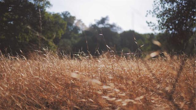 Montar uma virtual em Assis Brasil