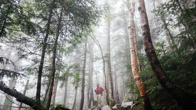 Montar uma virtual em Cand�i