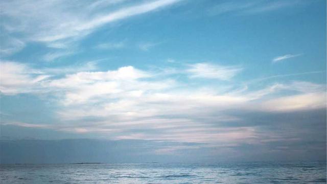 Negocio online em It�polis