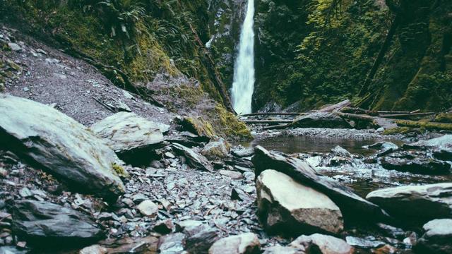 Or�amento de pagina eletronica em Arapor�
