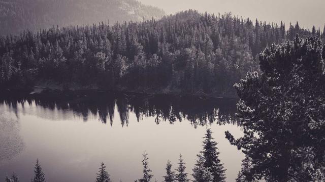 Or�amento de pagina eletronica em Condor