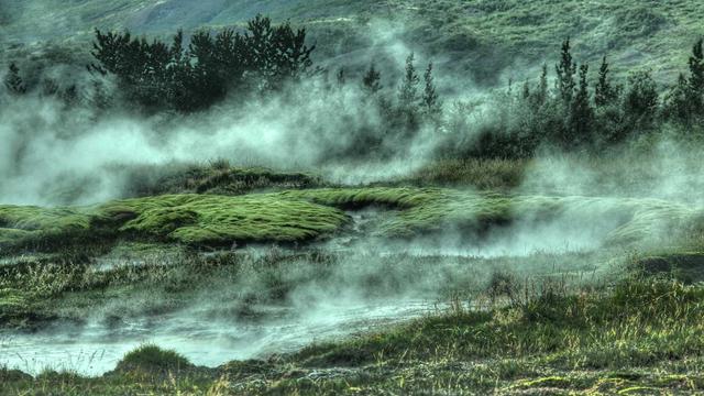 Orcamento de site em Bertol�nia