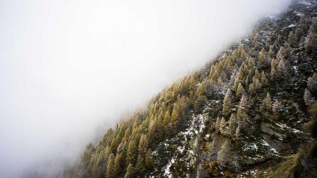 Orcamento de site em Ibimirim