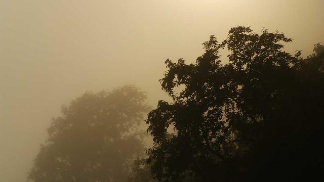 Or�amento de site oline em Girau do Ponciano
