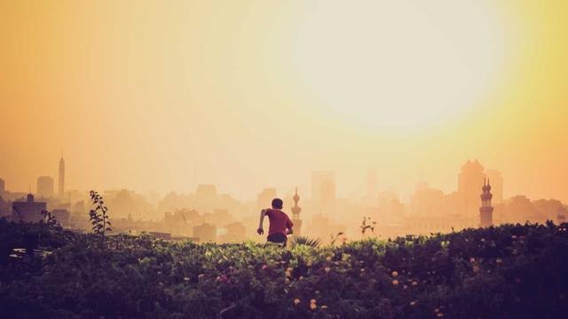 Or�amento de website em Monte Formoso