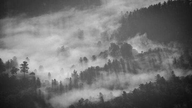 Or�amento loja virtual em Santo Anast�cio