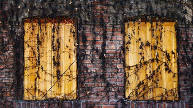Or�amento php em Palmeira do Piau�
