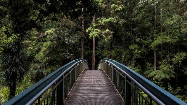 Or�amento php em Santana do Riacho