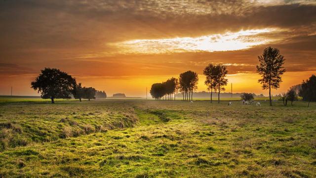 Or�amento php em S�o Sebasti�o do Para�so
