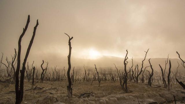 Or�amento programa��o de site em Descanso