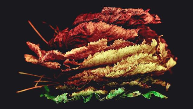 Orcamento site em Adrian�polis