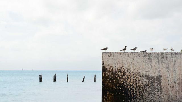 Orcamento Site em Ouroeste