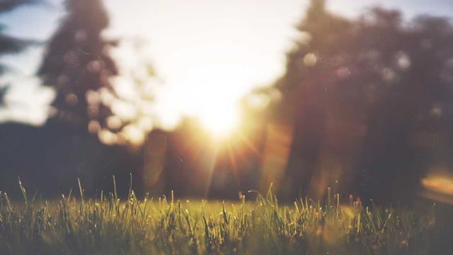 Orcamento Site em Parnarama
