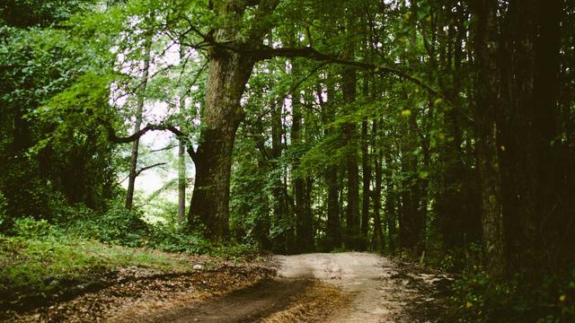 Or�amento Webdesign em C�u Azul