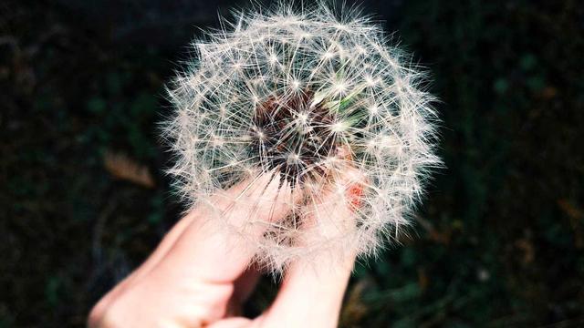 Or�amento webdesign em Cezarina