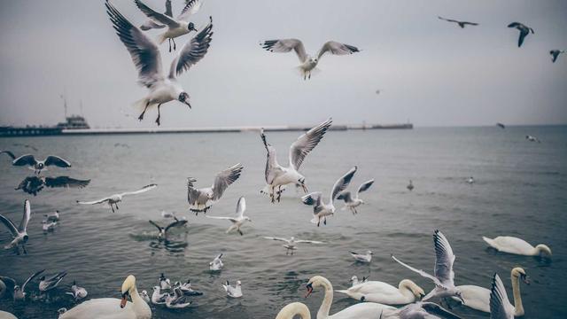 Or�amento webdesign em Rio Grande do Piau�