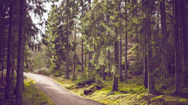 Plataforma b2c profissional em Cumaru do Norte