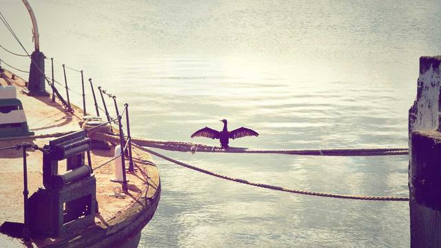Plataforma B2c Profissional em Jerumenha