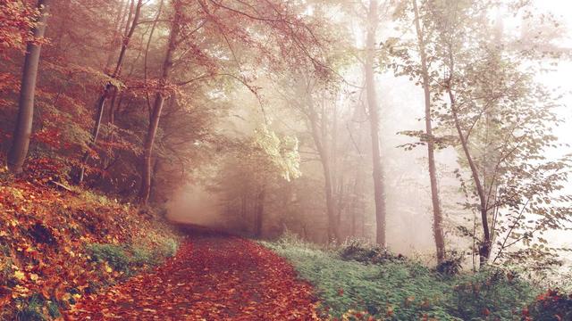 Plataforma para site em Brasnorte