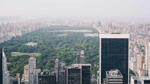 Plataforma para site em Cerro Branco