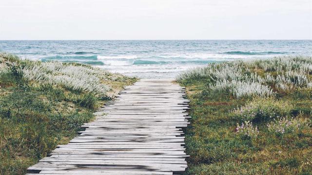 Pre�o sistema php em Ponga�