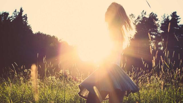 Pre�o sistema php em Wall Ferraz