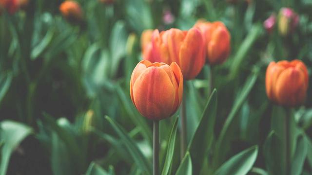 Pre�o Site em Formosa Do Oeste