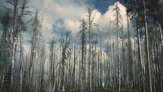 Pre�o site em Naz�ria