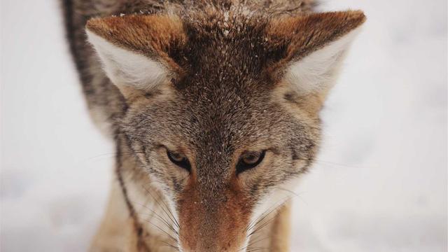 Programa��o em php em Apu�