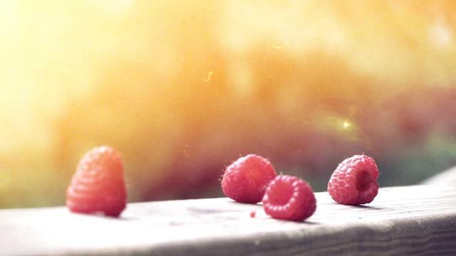 Programador para fazer sites em Gado Bravo