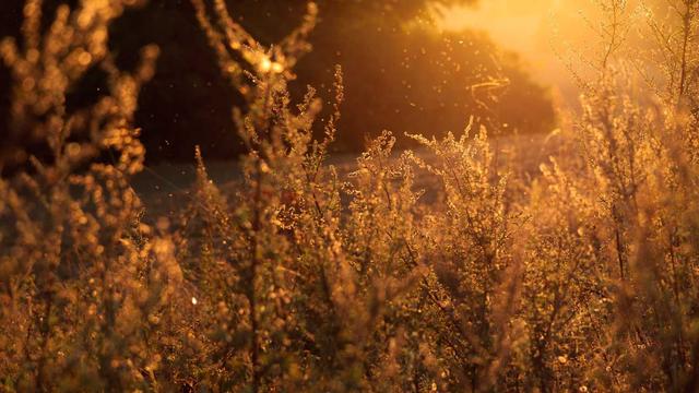 Programador para fazer sites em Para�