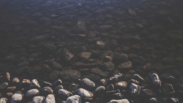 Programador para fazer sites em Pontes e Lacerda
