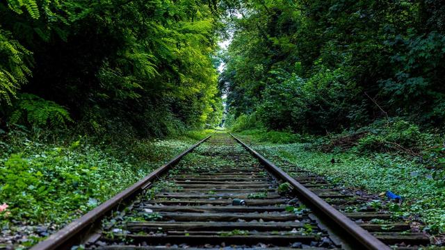 Programador web em em Barra do Rocha