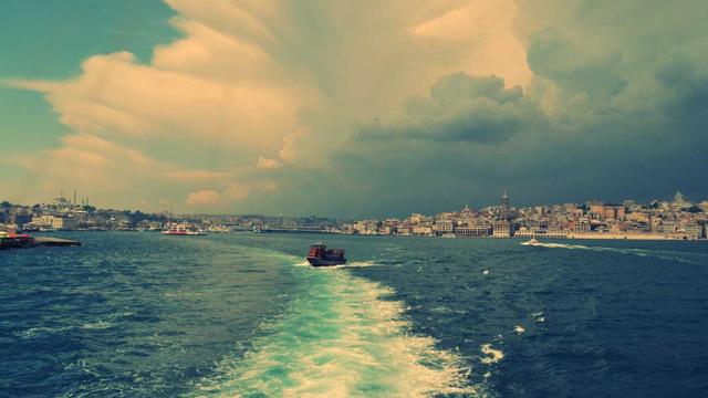 Programador web em em Casca