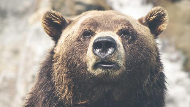 Programador web em em Itapor� do Tocantins