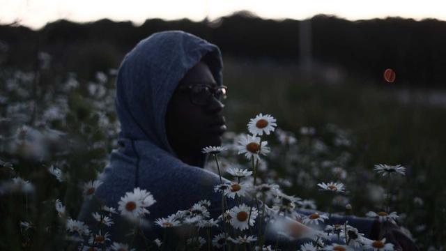 Programador web em em Mari�polis