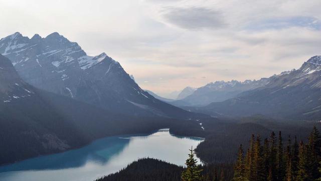 Programadores de web em Lagoa Seca