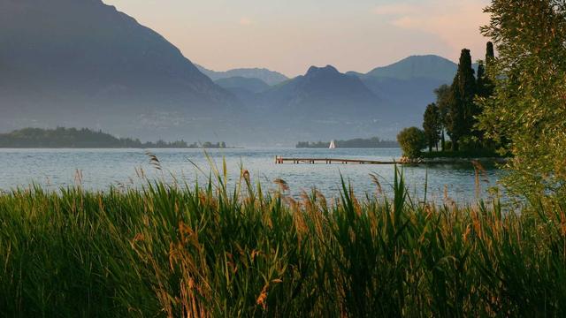 Programadores de web em Muritiba