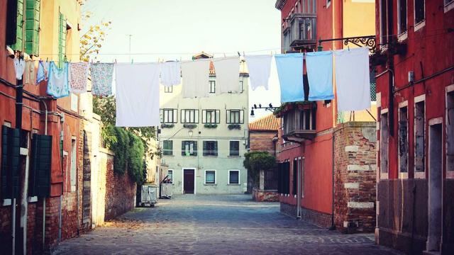 Programadores de web em Pedra Mole