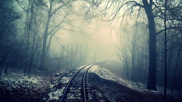 Programadores de web em Rialma